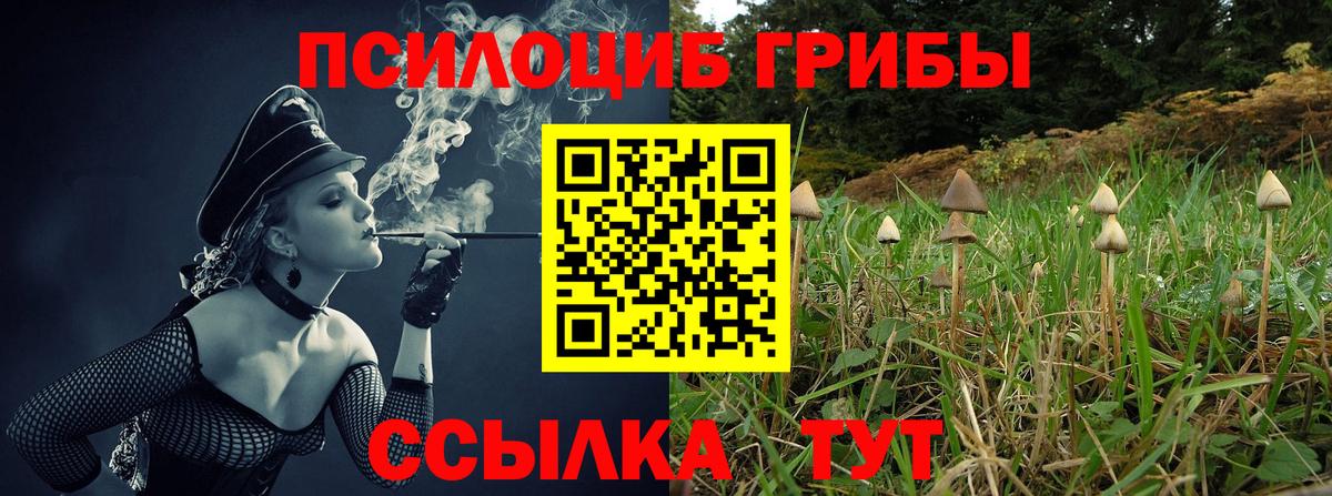 Кумертау  Галлюциногенные грибы мухоморы  Вход с VPN 