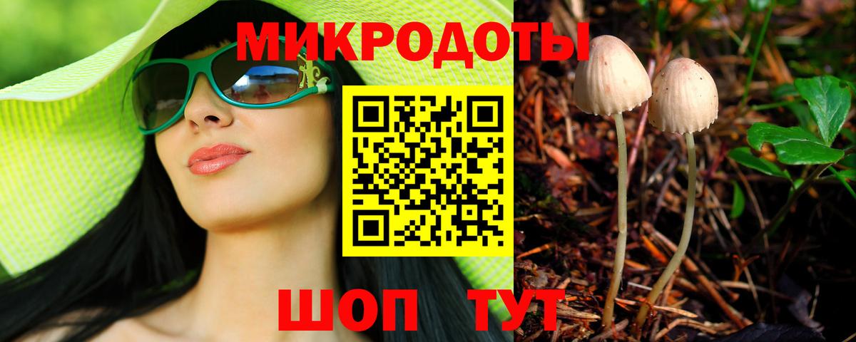 Псилоцибиновые грибы Psilocybine cubensis Кумертау